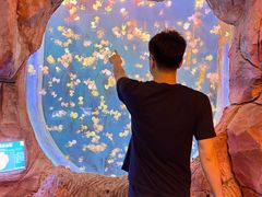 -威海华夏城景区