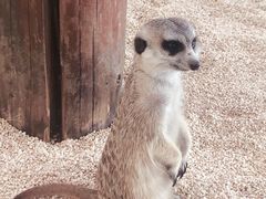 -海合安武汉极地海洋公园