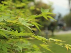 -宁波九龙湖开元度假村