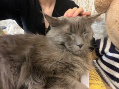 -平行世界·猫咖(首经贸店)