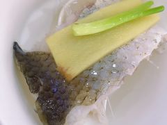 清蒸东海大黄鱼-金时代顺风大酒店(协泰店)