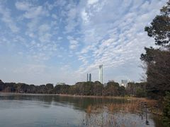 -金鸡湖桃花岛