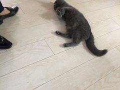 -Rabbit Cafe私房西餐甜点咖啡(栖霞路店)