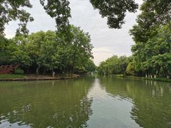 -西溪国家湿地公园