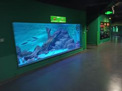 -常州海昌海洋探索馆