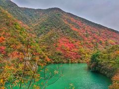 -郧西五龙河风景区