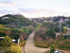 -滨千鸟之汤 海舟