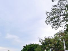 -海沧湾公园