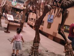 -陕西自然博物馆