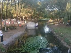 -长白岛森林公园