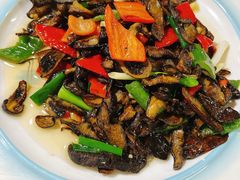 双椒炒见手青-龙姐私房菜(和顺古镇店)