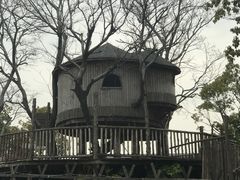 -田园东方蜜桃村的田野营地