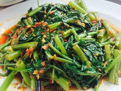 -新峰肉骨茶