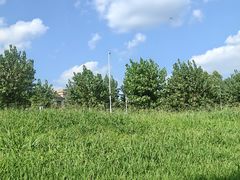 -两河城市森林公园