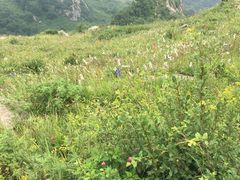 -灵山