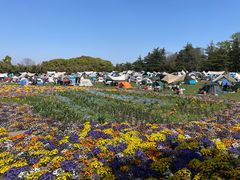 -上海滨江森林公园