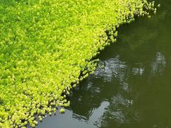 -黔灵山公园