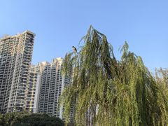 -苏州河梦清园环保主题公园