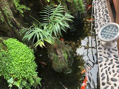 -丽江庭院之爱在路上(西单店)
