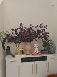 -WENDY·温迪皮肤管理