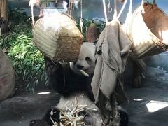 -无锡动物园·太湖欢乐园