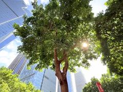 -榆扉·高空City View府邸(广州天河珠江新城正佳广场旗舰店)
