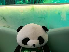 -眉州东坡·熊猫主题餐厅(枫蓝店)