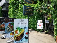 -Fern Forest Cafe