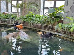 -南宫五洲植物乐园