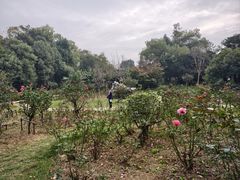 -东湖落雁景区