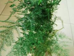 -济南植物园