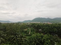-三亚亚龙湾红树林度假酒店