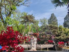 -红螺寺