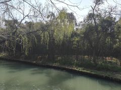 -同里国家湿地公园