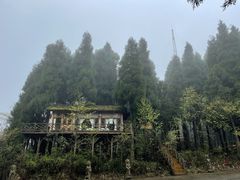 -武陵山森林公园