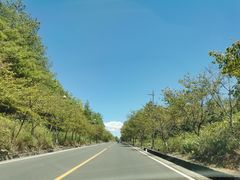 -武陵山森林公园