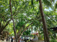 -海南分界洲岛旅游区