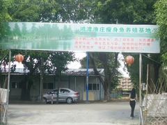 -鸿渡渔庄·特色鸭咀鱼
