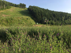 iphone_upload_pic-赤峰美林谷四季山度假酒店