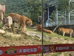 -无锡动物园·太湖欢乐园