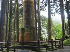 -阿里山神木遗迹