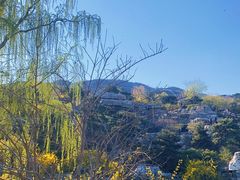 -北京西山国家森林公园