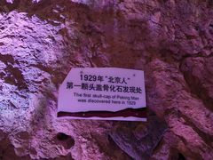-周口店北京人遗址公园