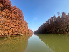 -上海海湾国家森林公园