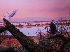 -中国湿地博物馆