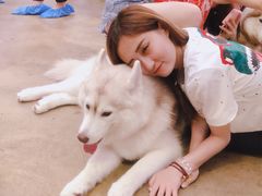 -TrueLove @ Neverland (Husky Cafe)