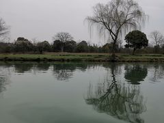 -西溪国家湿地公园