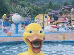 -重庆海昌加勒比海水世界
