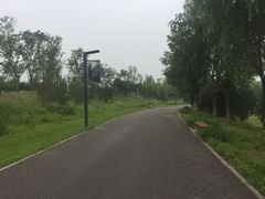 -东郊湿地公园