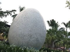 -100蛋泥浆浴